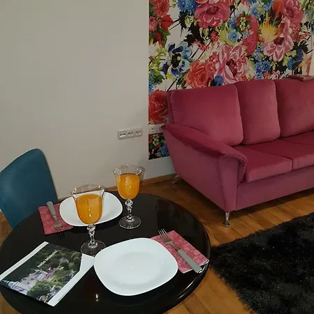 Paradise Apartament